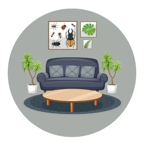 Furnishings